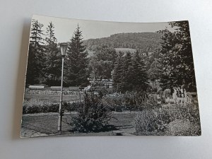 POSTCARD PRL WISLA FRAGMENT OF A PARK