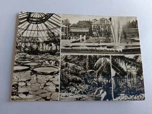 POSTCARD PRL POZNAŃ PALMIARNIA IN THE PARK