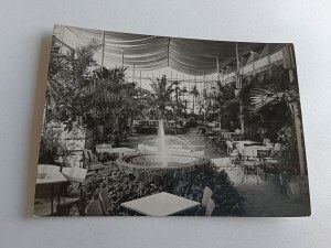 POSTCARD PRL GREEN MOUNTAIN PALMIARNIA PARK WINE CLUB CAFE
