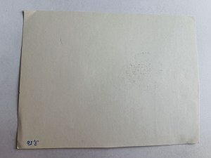 POSTCARD POSTCARD POLISH AIRLINES FLIGHT, STAMP AIRPLANE