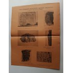 INFORMATOR FUNGUS, WARSZAWA, ZWALCZANIE GRZYBÓW SZKODNIKÓW 1938 R