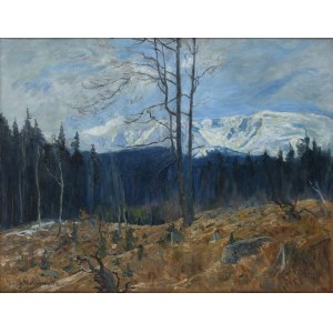 Georg Wichmann (1876 Lwówek Śląski - 1944 Szklarska Poręba), Widok na Śnieżne Kotły
