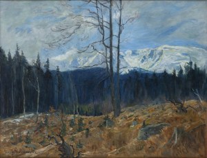 Georg Wichmann (1876 Lviv Slaski - 1944 Szklarska Poreba), View of the Snowy Cauldrons