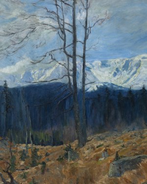 Georg Wichmann (1876 Lviv Slaski - 1944 Szklarska Poreba), View of the Snowy Cauldrons