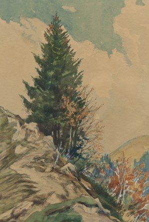 Friedrich Iwan (1889 Kamienna Gora - 1967 Wangen), Spruce on the slope of the Rangiswanger Horn mountain.