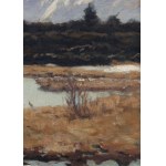Herbert Kuron (1888 Wrocław - 1951 ), Torfowiska pod Śnieżką