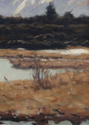 Herbert Kuron (1888 Wrocław - 1951 ), Peatbogs under the Snowy River