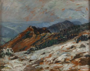 Georg Wichmann (1876 Lviv Slaski - 1944 Szklarska Poreba), Kozie Grzbiety