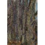 Georg Wichmann (1876 Lviv Slaski - 1944 Szklarska Poreba), Trees
