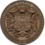 Switzerland - Aargau - Copper Medal 1896 - Aarau, Jubilee Shooting of the Aarau Shooting Society - Switzerland, Swiss Shooting Medal