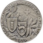 Switzerland - St. Gallen - Silver medal 1914 - Flawil, St. Gallen Cantonal Shooting Festival - Switzerland, Swiss Shooting Medal