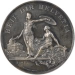 Switzerland - Thurgau - Silver medal 1890 - Frauenfeld, Federal Shooting Festival - NGC MS 62 - Switzerland, Swiss Shooting Medal