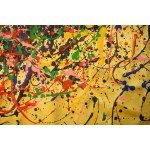 Waldemar Zwolinski, Motion Field