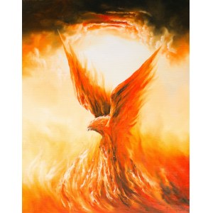 Adam Burczyc, Phoenix
