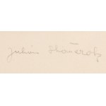 Julian Stańczak (1928 Borownica - 2017 Seven Hills, Ohio), Constelation , lata 60. XX w.