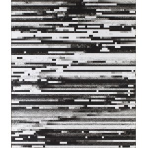 Honza Zamojski (nar. 1981), 'Corrupted Files', 2013