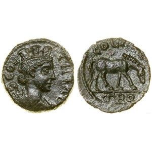 Rzym prowincjonalny, brąz, (253-268)