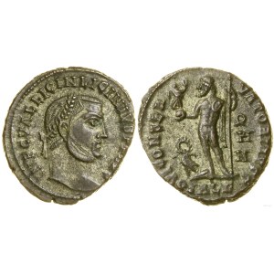 Cesarstwo Rzymskie, follis, 315, Aleksandria