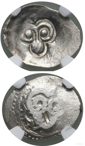 Grand Duchy of Ryazan, dienga, after 1400