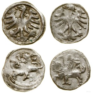 Poland, set of 2 x Lithuanian denarius, Vilnius