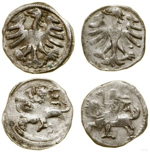 Poland, set of 2 x Lithuanian denarius, Vilnius