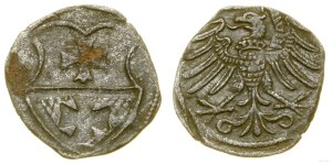 Poland, denarius, no date, Elbląg