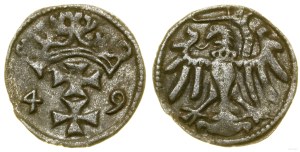 Poland, denarius, 1549, Gdansk