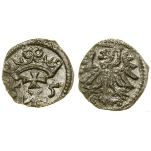 Polska, denar, 1555, Gdańsk