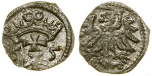 Poland, denarius, 1555, Gdansk