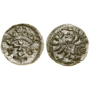 Polska, denar, 1556, Gdańsk