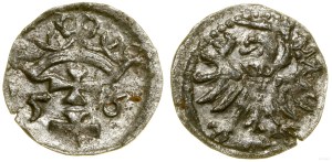 Poland, denarius, 1556, Gdansk