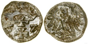 Poland, denarius, 1557, Gdansk