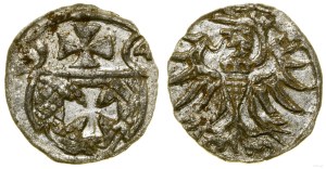 Poland, denarius, 1554, Elbląg