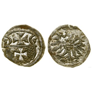 Poland, denarius, 1555, Elbląg