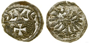 Poland, denarius, 1555, Elbląg