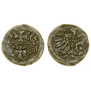 Poland, denarius, 1555, Elbląg