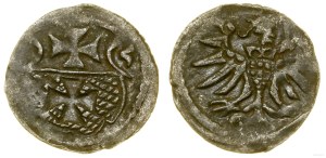 Poland, denarius, 1555, Elbląg