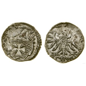 Poland, denarius, 1556, Elbląg