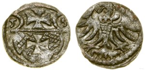 Poland, denarius, 1556, Elbląg