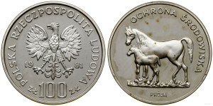 Poland, 100 zloty, 1981, Warsaw