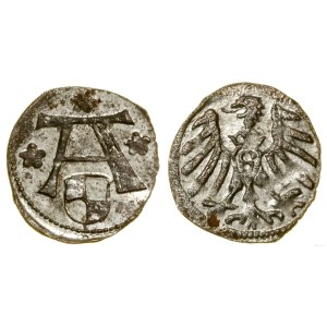 Prusy Książęce (1525-1657), denar, bez daty, Królewiec