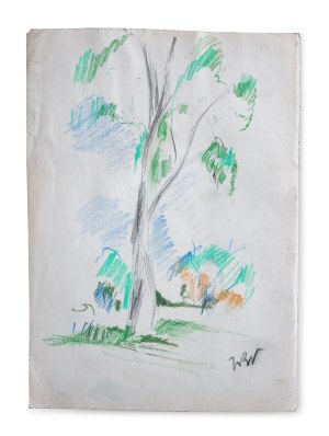 Wojciech WEISS (1875-1950), Sketch of a birch tree