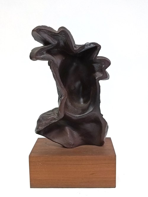 Arnold Goldstein (att.), Indianin, 1978