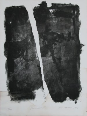 Drum Janusz, Problems 1987,