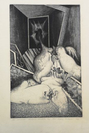 Bielawski Janusz, Nihil novi sub sole 1971r