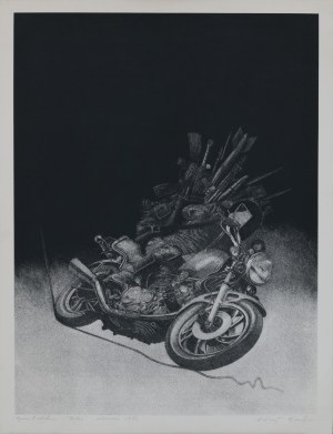 Kenda Andrew, Rider