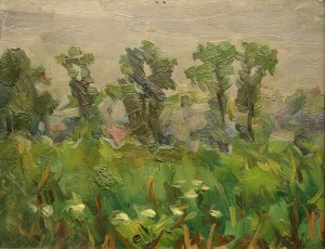 Lejman Lucjan, Landscape