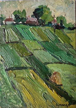 Maciąg Ludwik, Rural Landscape