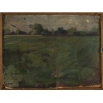 Włodzimierz Tetmajer (1862 Harklowa - 1923 Kraków), Kobieta na wozie