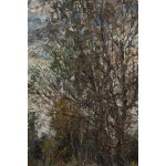 Włodzimierz Zakrzewski (1916 St. Petersburg - 1992 Warsaw), Mlociny. Trees, 1972